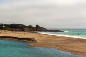 A dos horas de Santa Rosa se encuentra una escapada a la playa de la costa oeste menos conocida con campamentos, secuoyas y pesca.