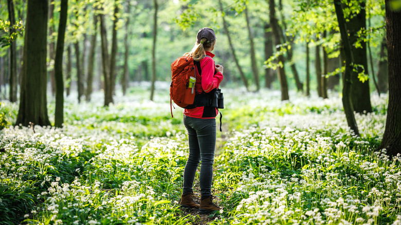 Una mujer con gorra, mochila, binoculares y botas de montaña se encuentra entre flores silvestres blancas en un bosque.