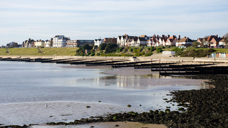 Agua de mar tranquila y un banco de hierba con casas encima en Harwich, Inglaterra