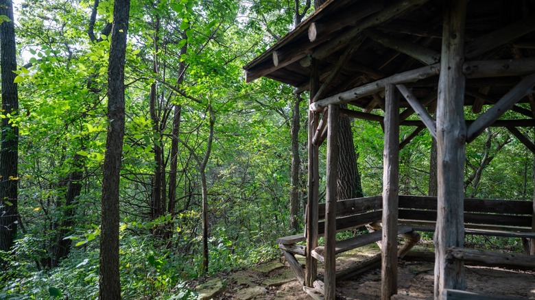 Antiguo cenador de madera en el bosque en Tower Hill State Park, Wisconsin.