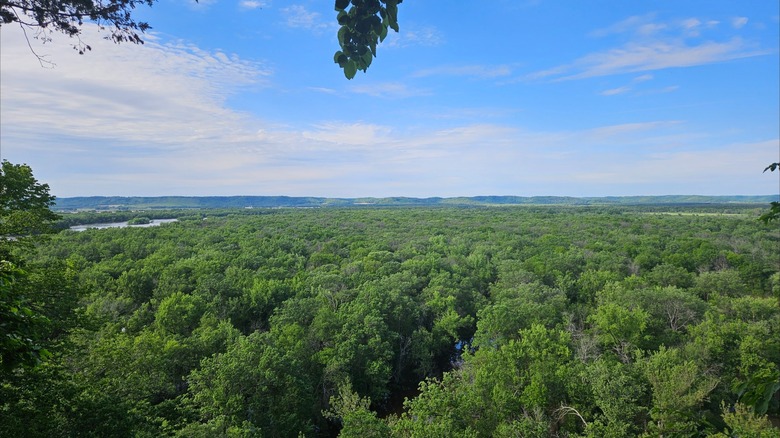 Las vistas del bosque bajo un cielo parcialmente nublado desde la torre de tiro del Parque Estatal Tower Hill en Wisconsin