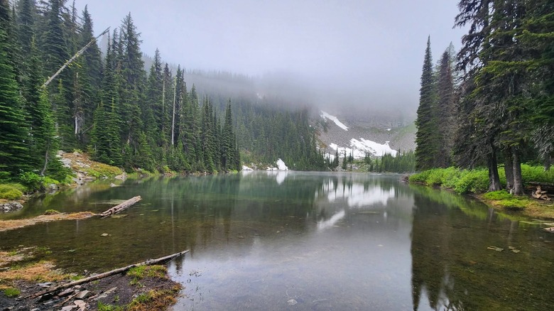 Blossom Lake se encuentra claro y nítido, rodeado de coníferas y con las montañas en el horizonte oscurecidas por la niebla.
