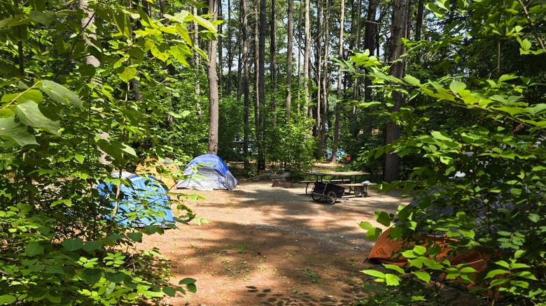 Tiendas de campaña montadas en un camping arbolado con una mesa de picnic en el Parque Estatal Bomoseen, Vermont