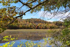Cerca de la frontera entre Nueva York y Vermont hay un parque estatal junto al lago con campamentos, caminatas y actividades acuáticas