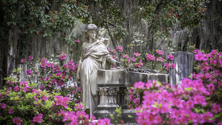 Cementerio Buenaventura en primavera con azaleas