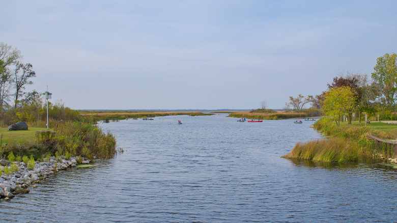 Una vista del río en Sheboygan Broughton Marsh Park con gente haciendo kayak y piragüismo en la distancia.