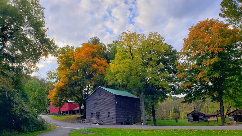 Pioneer Village en Beaver Creek State Park, con pequeñas estructuras de troncos a la derecha, un edificio más grande con lados negros en el centro y un edificio rojo al fondo a la izquierda, con senderos a través de la hierba y árboles otoñales a su alrededor, bajo un cielo nublado.