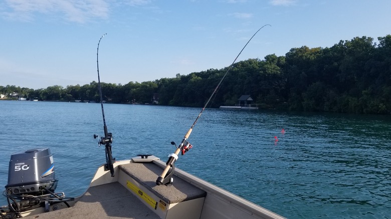 Dos cañas de pescar colocadas en un barco en Gull Lake, Michigan, con árboles bordeando la costa