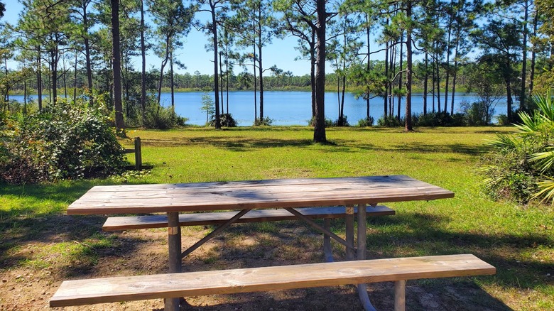 Una mesa de picnic y un campamento cerca del agua en Camel Lake Campground, Bosque Nacional Apalachicola