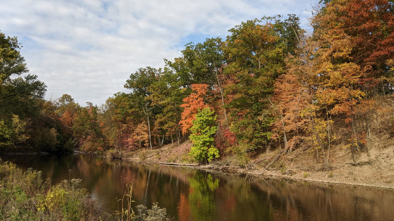 El follaje de otoño en Cascade Park en Elyria, Ohio