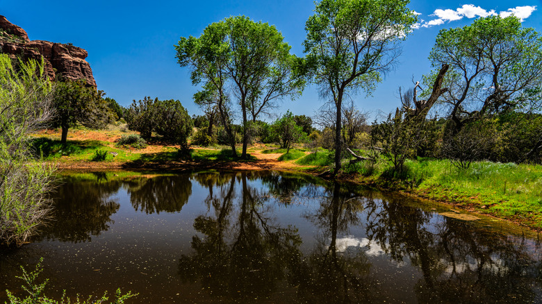 Un lago en el camino hacia Loy Canyon Trail en Sedona, Arizona