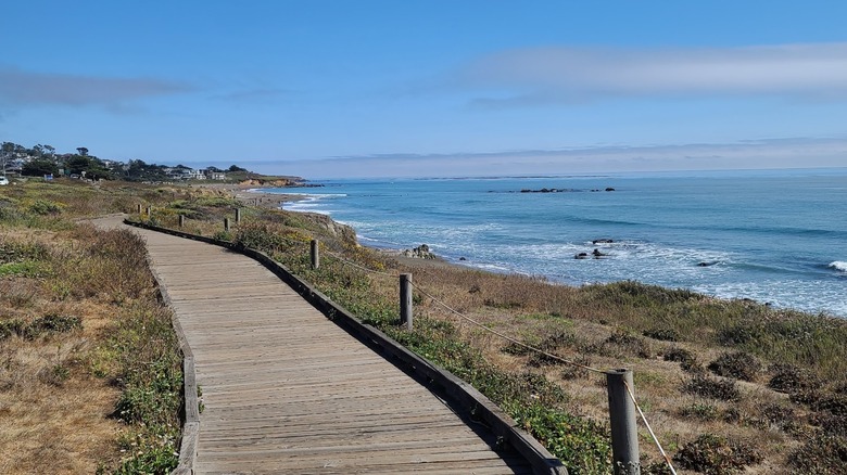 El paseo marítimo recorre el acantilado de Moonstone Beach en Cambria, California