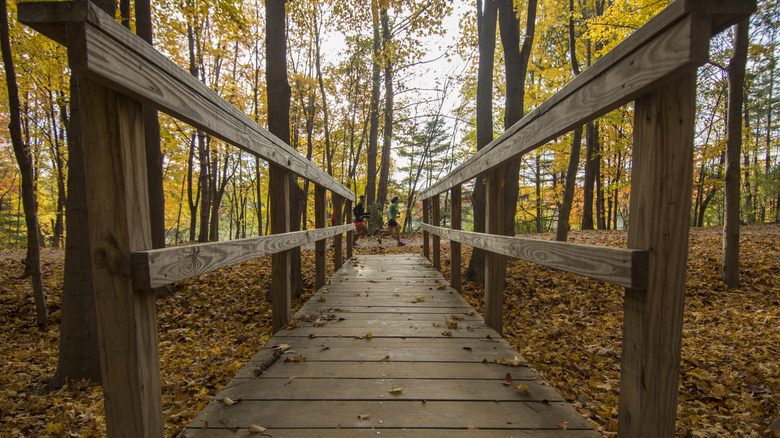 Un puente de madera rodeado de follaje en la reserva del condado de Ramapo Valley en Mahwah, Nueva Jersey