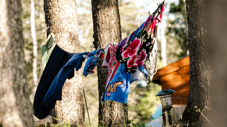 Ropa tendida en un camping en el Parque Provincial Duck Mountain en Manitoba