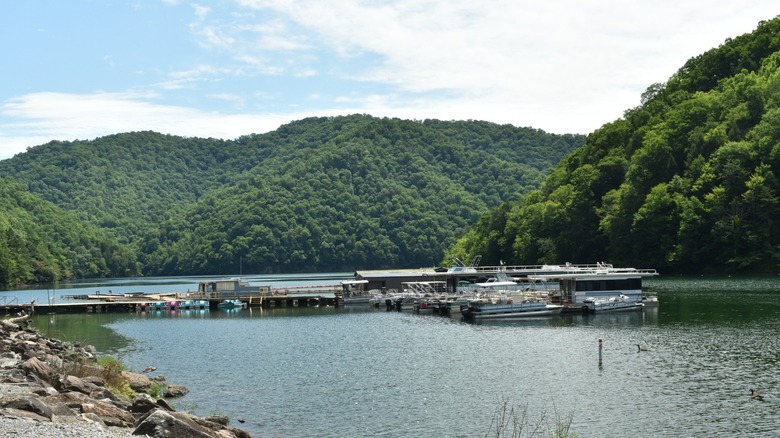 Botes de pesca y remo atracados en un puerto deportivo en el lago Fishtrap en Kentucky