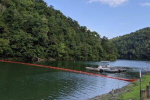 El parque estatal repleto de vida silvestre de Kentucky tiene un pintoresco lago y un bosque para pescar, pasear en bote y observar aves