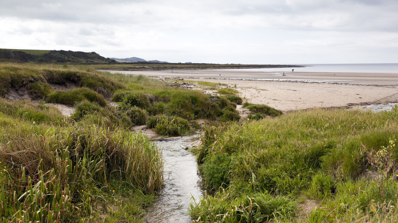 Playa en la isla de Bute, Escocia.