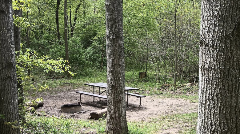 Mesa de picnic entre los árboles en un campamento en la Unidad Pike Lake del Bosque Estatal Kettle Moraine.