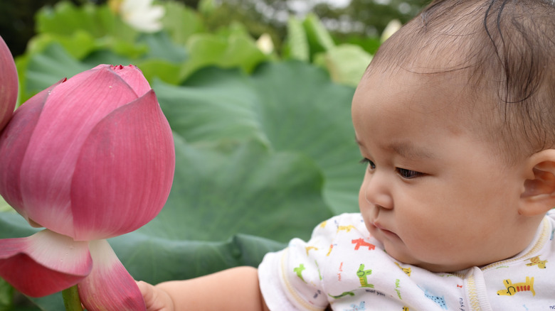 Un bebé mirando una flor rosa.