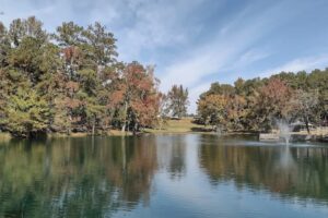 Entre Tupelo y Huntsville hay una ciudad pintoresca con vistas panorámicas al lago, restaurantes locales y festivales de temporada.