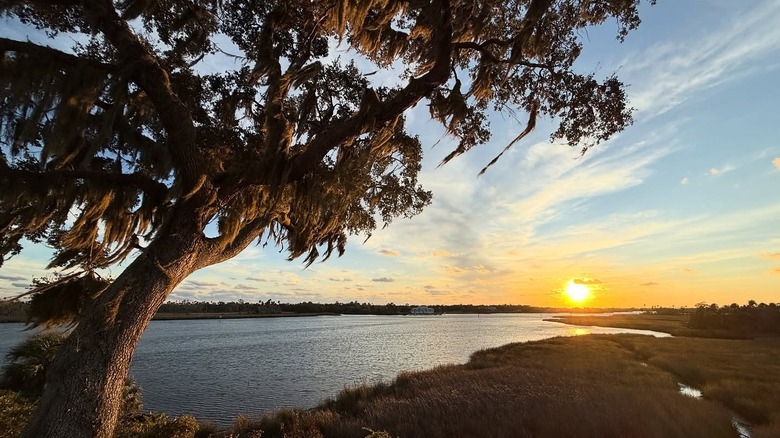 Puesta de sol sobre el río Crystal en el Parque Estatal Arqueológico Crystal River de Florida.