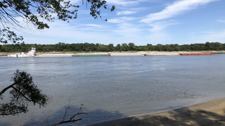 Vista del río Mississippi desde el Área de Conservación Setenta y Seis en Missouri