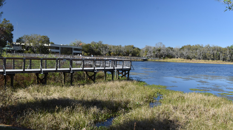 El paseo marítimo se extiende sobre el agua en Cooter Pond Park en Inverness, Florida