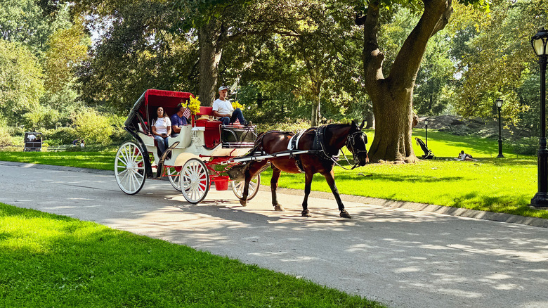 Personas viajando en un carruaje tirado por caballos por Central Park