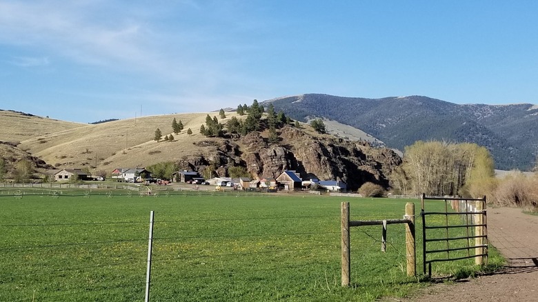 Un camino de tierra conduce al granero, la casa del rancho y otras instalaciones en Rocking Z Guest Ranch.