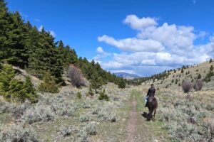 Olvídese de Texas, este rancho de Montana es un escape rústico con diversión al estilo vaquero, pesca y vistas a la montaña