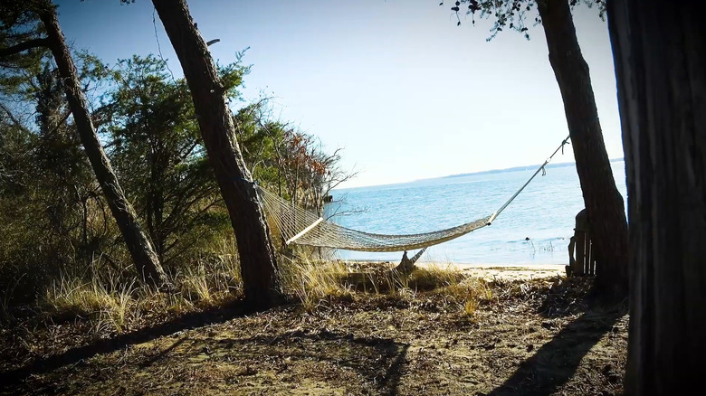 Una hamaca se balancea cerca de una de las playas de Holly Beach Farm