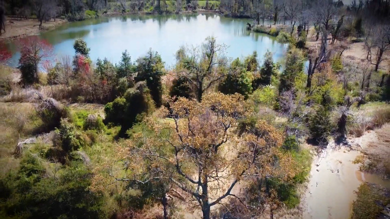 Una vista aérea del estanque de agua dulce y los senderos para caminar de Holly Beach Farm