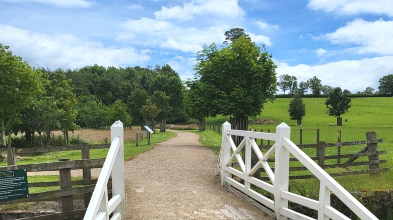 Los terrenos de Kirkharle en Northumberland, incluido un sendero para caminar a través de campos ajardinados