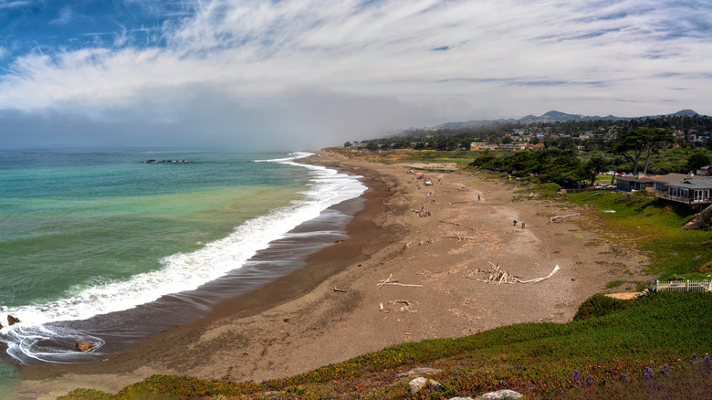 Las olas bañan la orilla de Moonstone Beach en Cambria, California